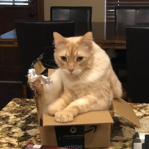 Meet your Posher, Heather